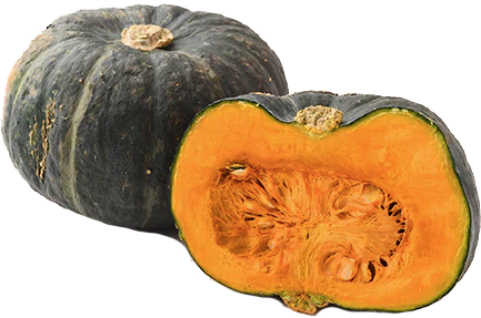 kabocha